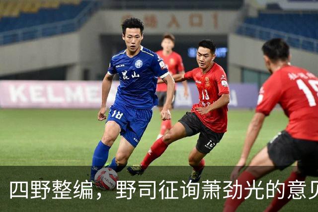 四野整编，野司征询萧劲光的意见，他说：第12兵团加一个副司令
