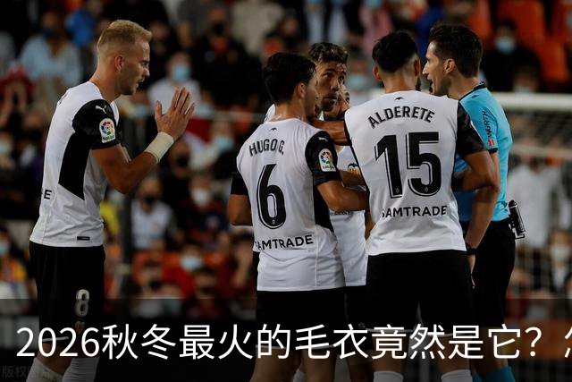 2026秋冬最火的毛衣竟然是它？怎么穿都高级好看！